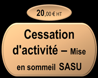 Cessation temporaire d'activité - Mise en sommeil SASu