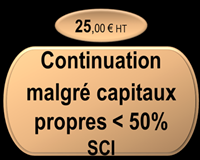 Continuation malgré capitaux propres - 50% SCI