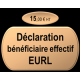 Déclaration bénéficiaire effectif EURL