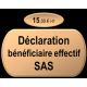 Déclaration bénéficiaire effectif SAS