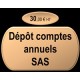 Dépôt comptes annuels SAS