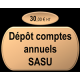 Dépôt comptes annuels SASU