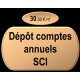 Dépôt comptes annuels SCI