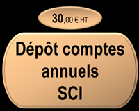 Dépôt comptes annuels SCI
