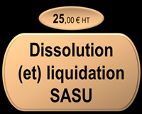 Dissolution / Dissolution - Liquidation SASU