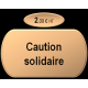 Continuation malgré capitaux propres - 50% SAS
