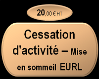Cessation temporaire d'activité - Mise en sommeil EURL