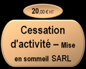 Cessation temporaire d'activité - Mise en sommeil SARL