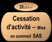 Cessation temporaire d'activité - Mise en sommeil SAS