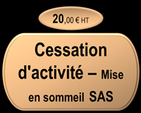 Cessation temporaire d'activité - Mise en sommeil SAS