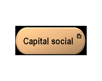 Capital social