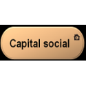 Capital social