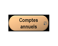 Comptes annuels