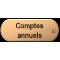 Comptes annuels