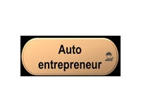 Auto-entrepreneur