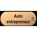Auto-entrepreneur